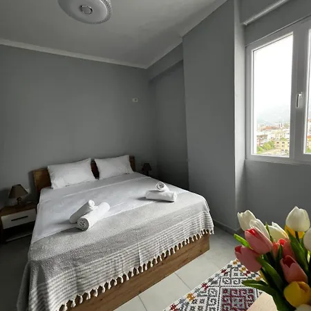 Night Star ティラナ