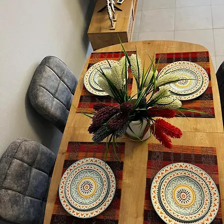 Night Star * 티라나