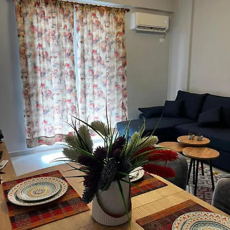 Night Star * 티라나