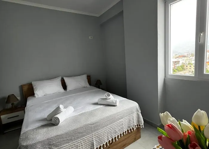 Night Star 地拉那